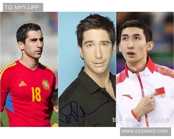 撞脸足球明星大盘点那些与球星神似的明星们你认识几个